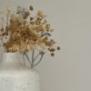 Eco-Friendly Home Decor Choice